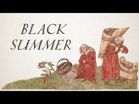 Black Summer - Red Hot Chili Peppers - (Bardcore | Medieval Style Cover) ft. Collin Vodicka