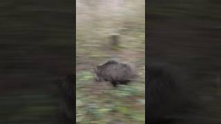 Schon gesehen? Jetzt auf YouTube: pure Action &amp; echte Emotionen erleben! #copterpro 🙌😍