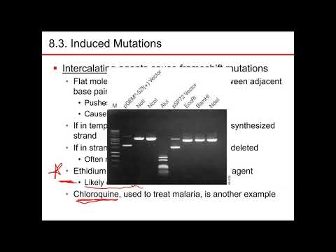 Chapter 8 part 2 microbiology nester sandburg