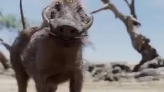 Childish Gambino Donald Glover And JD McCrary Play Simba In The Lion King