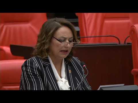 CHP'li Müzeyyen Şevkin: "Emekliler Bu Maaşla Yaşayamaz"