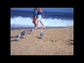 Scissor Sisters "Skin This Cat" Official Seagull Dance Party Music Video!!!!!