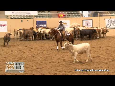 Tha Big Smoke ridden by John C. Swales  - 2016 NRCHA Snaffle Bit Futurity (Herd Work - Open Prelims)