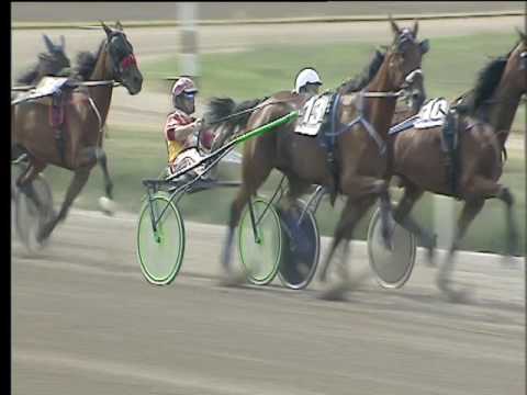 Trotto 10/06/2017 - 3ª corsa