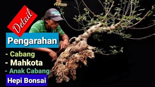 Download lagu How to Direct the Branches of the Crown of the Ileng Ileng Bonsai mp3