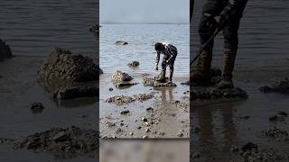 Bolsa Perdida na Praia - encontramos uma fortuna com o Detector de Metais