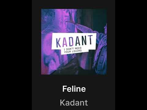 Feline - Kadant / music