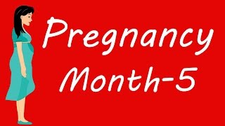 The Pregnancy | Month by month | English | Month 5 | Dr Padma