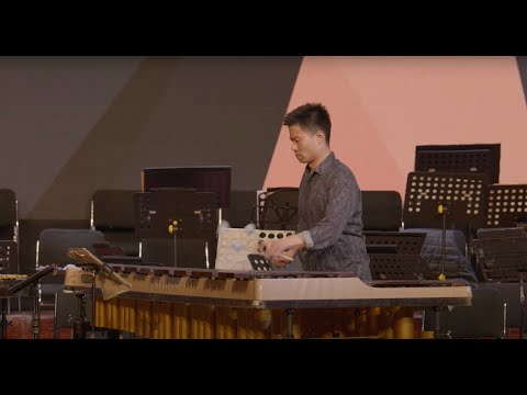 Duo Lin-Lynn- EFFUGONETROM by Max Leth (live)