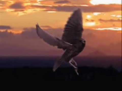 Bonnie tyler - Mike Oldfield - Islands