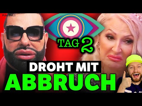 SAT.1 in NOT 🚨 Glööckler DROHT mit ABBRUCH! ALLE GEGEN Désirée Nick! Promi Big Brother 2025 Tag 2