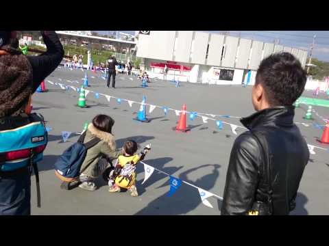 20151128 SUZUKA S-1 GP 障害物 5歳予選 YG&HK