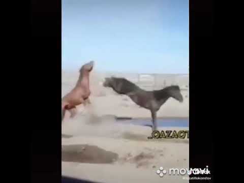 20 января 2020 г.