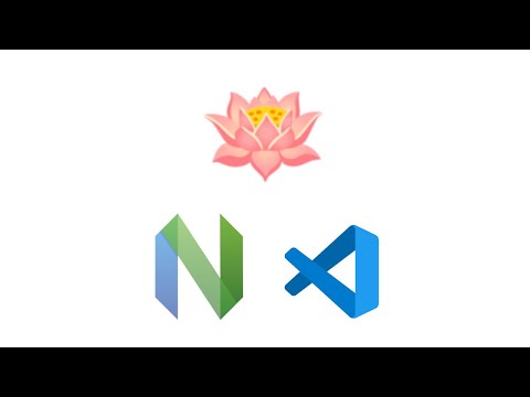 Make db work properly! — Neovim & VsCode