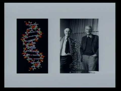 Genesis: pt 1 Creation and Evolution