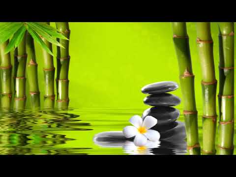 Top 18+ Nhạc Baroque Hay Nhất - Không Lời Tư Duy - Kích Thích Tư Duy Học Tập Và Thư Giãn Cực Tốt 10 video nhạc YouTube giúp tập trung học bài, làm việc 21 hqdefault