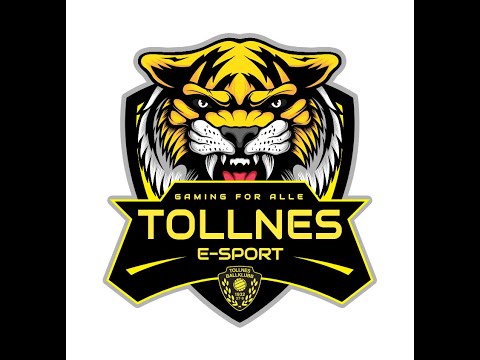 Tollnes E-Sport FC24-turnering