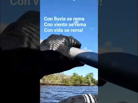 El placer de remar, el placer de vivir... #arroyo #canelones #Pando #kayak #kayakismo