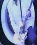 Catherine wheel - Waydown 