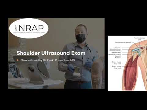 NRAP Ultrasound Guided Regional Anesthesia & Pain Course: Shoulder & Suprascapular Nerve Anatomy