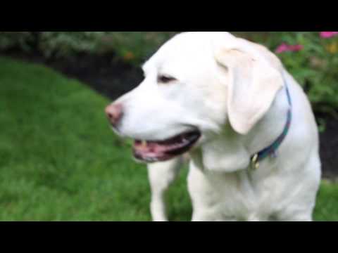 'I Didn't Know I Was Having a Heart Attack'