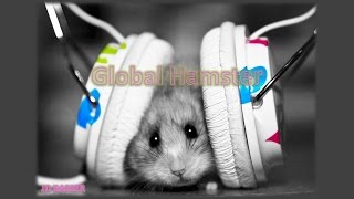 Global Hamster
