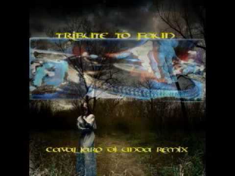 UNDA REMIX TRIBUTE TO FAUN