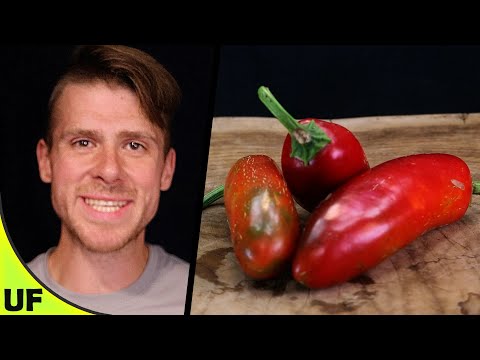Sriracha Taste Test | Unusual Foods