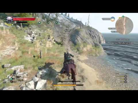 The Witcher 3: Wild Hunt - Athletic Horse / Zirkuspferd