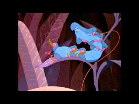 How Doth the Little Crocodile