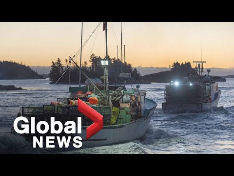 RCMP seek to de-escalate Nova Scotia lobster fisheries dispute