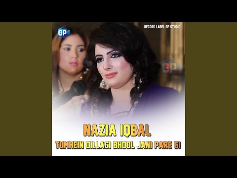 Tumhein Dillagi Bhool Jani Pare Gi