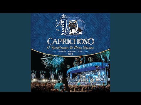 Festa De Um Boi Brasileiro - Boi Caprichoso