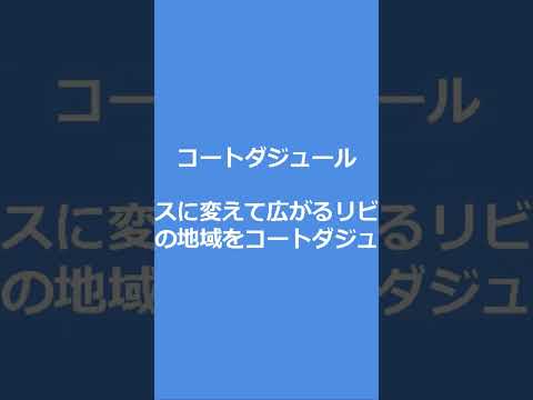 観光政策学科 2025年8月9日