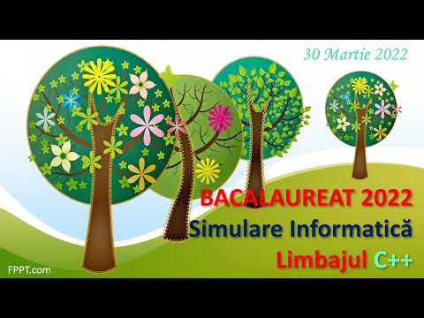 Limbajul C++, Simulare Bacalaureat 2022
