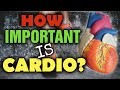 Year Round Cardio - The Holy Grail of FAT LOSS!!!