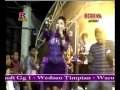 Dangdut Bahenol DANGDUT KOPLO Aku Tak Butuh Cinta