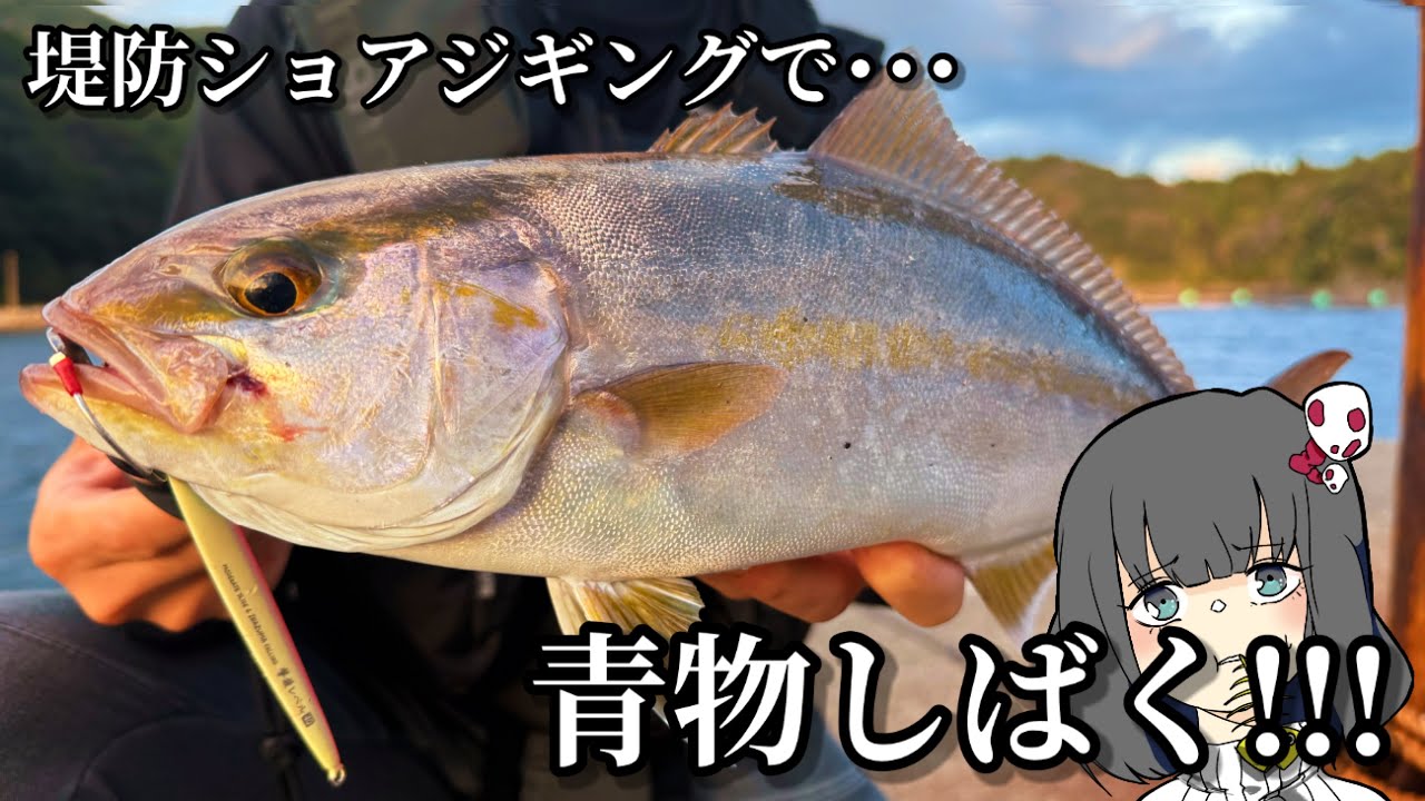 激アツ！！！堤防から青物狙うッッ！！！