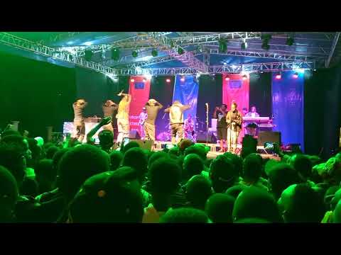 DO ME By bwiza Live performance