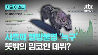탈출 늑대 '늑구'…인기몰이에 '밈코인'까지 등장｜지금 이 쇼츠