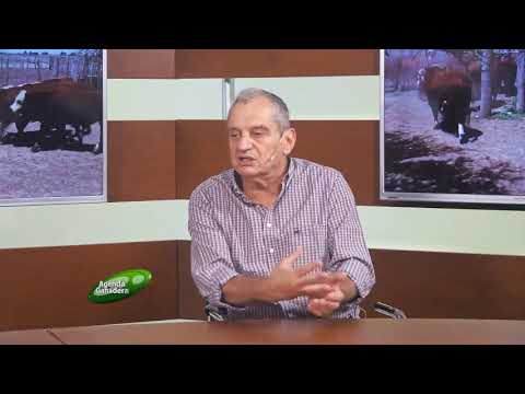 Agenda Ganadera - Carlos Scena - 24-2-26