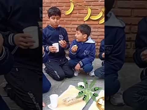 bananas rockers