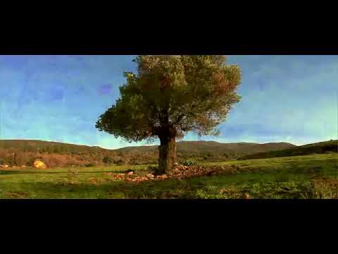 "Questo Amore"  (Cet amour) di Jacques Prévert