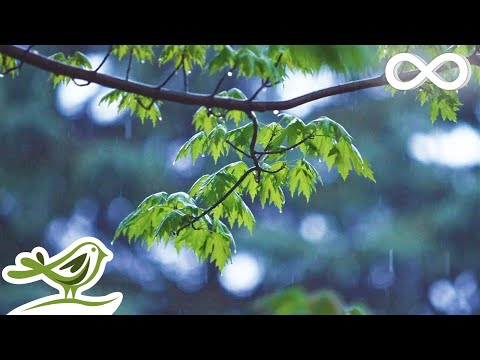 Relaxing Music & Gentle Rain Sounds - Beautiful Piano Music for Relaxation & Sleep