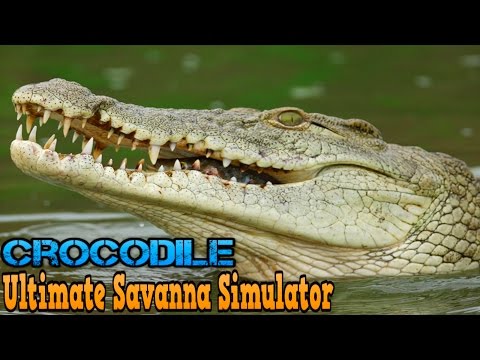 Ultimate Savanna Simulator #Crocodile By Gluten Free Games Action & Adventure iTunes/Android - YouTube
