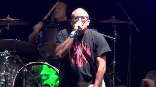 The Descendents - Live - Brakrock 2019