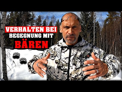 Begegnung mit einem Bären? So kannst du dich verhalten!