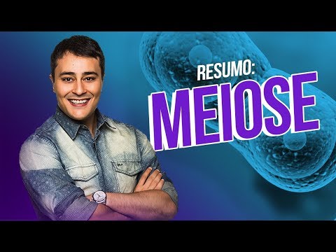 Ciclo Celular: Meiose | RESUMÃO | Prof. Paulo Jubilut
