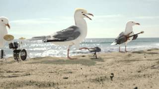 Cape Cod Potato Chips [HD]