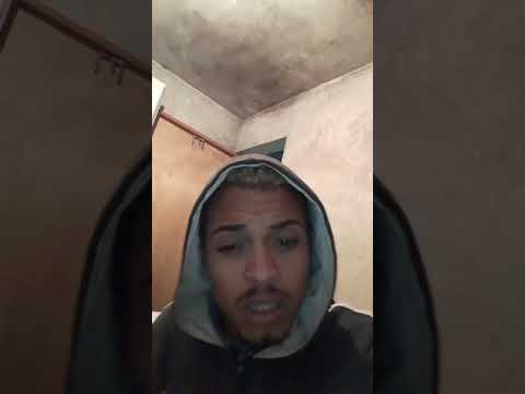 mister tartaruga  medley